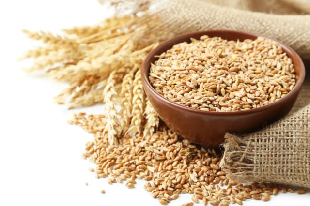 Mąka durum czy ma gluten? Sprawdź, czy jest bezpieczna dla celiaków